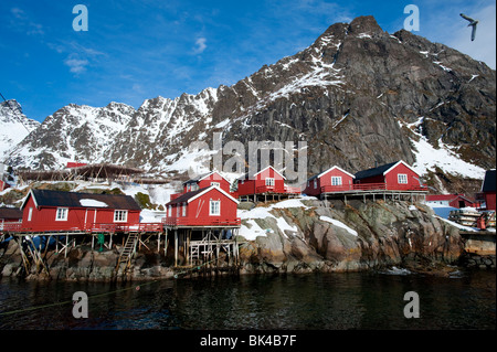 Traditional red wooden Rorbu fishermen`s huts in village of Å on Moskenesoya Island in Lofoten Islands in Norway